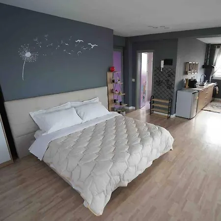 30°bs Rooftop Апартаменты *